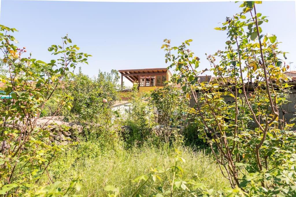 Casa La Vera Rural Талаверуэла Экстерьер фото
